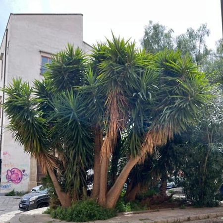 Sicily Guest House 2 باليرمو المظهر الخارجي الصورة