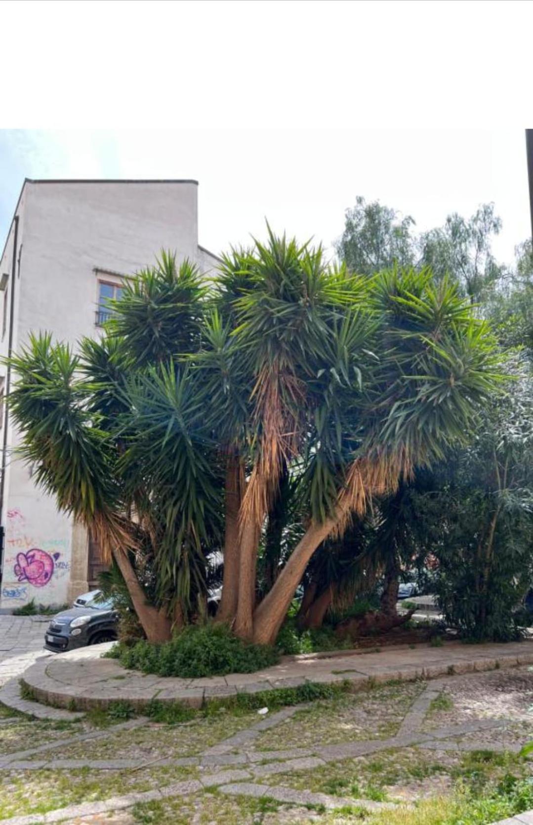 Sicily Guest House 2 باليرمو المظهر الخارجي الصورة